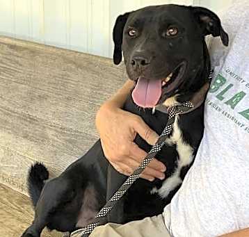 Photo of Roscoe