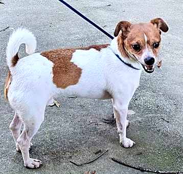 Photo of Fonzi