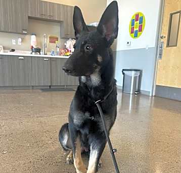 Photo of Tasha