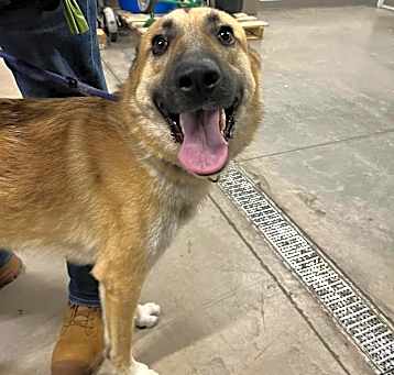 Photo of Frisco