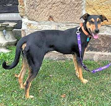 Photo of Lilly
