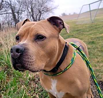 Photo of Major