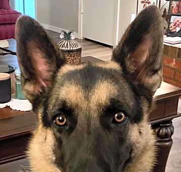 Photo of Heidi