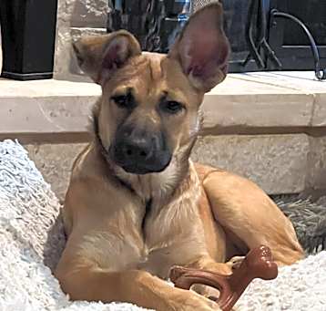 Photo of Lucy