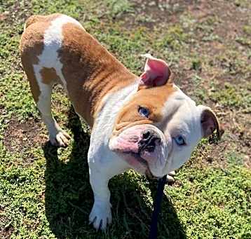 Photo of HANDSOME