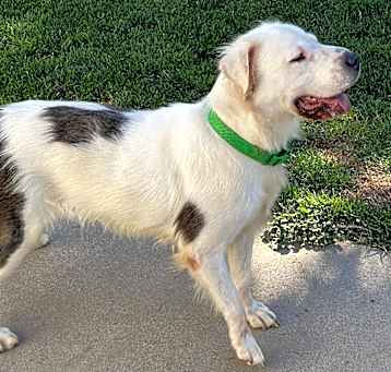 Photo of Jaxx