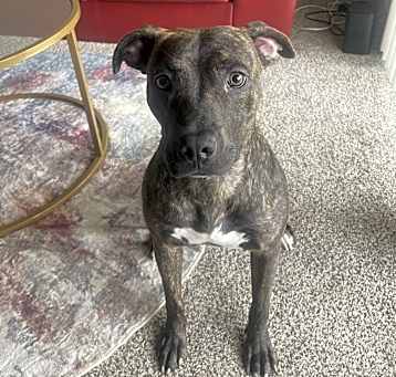 Photo of Coco
