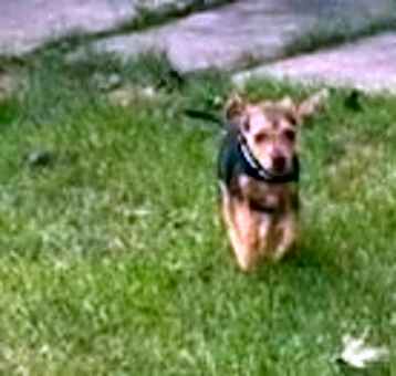 Photo of Benjie