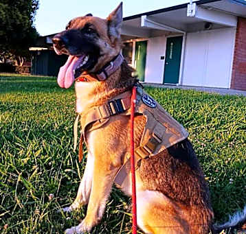 Photo of Riley