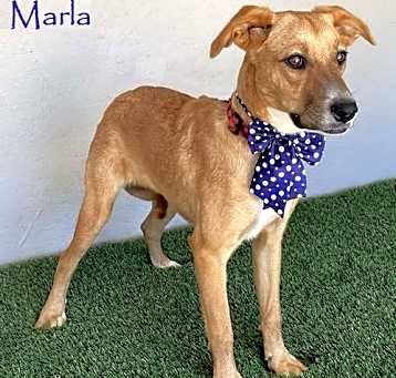 Photo of Marla