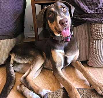 Photo of Asher