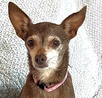 Photo of Mosey
