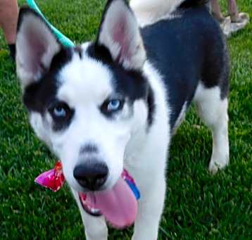 Photo of NIKKO