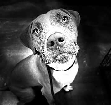 Photo of Walter