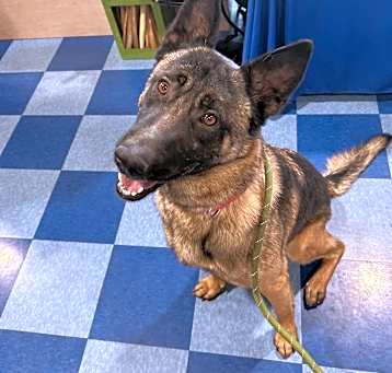 Photo of Echo