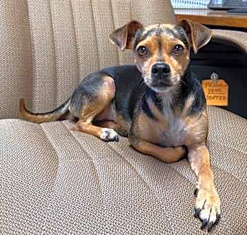 Photo of SNICKERS