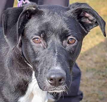 Photo of Trix