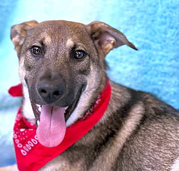 Photo of Nyx