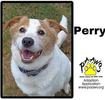 Photo of Perry