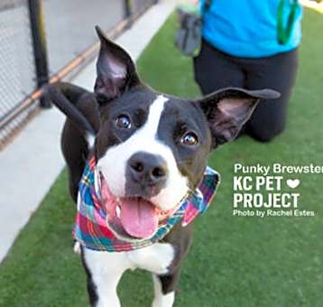 Photo of Punky Brewster