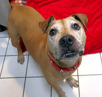 Photo of Caesar