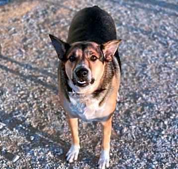 Photo of Star