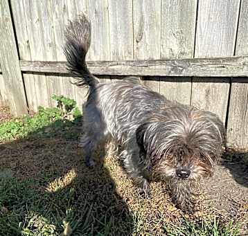 Photo of Mazie