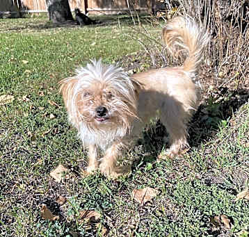 Photo of Bella