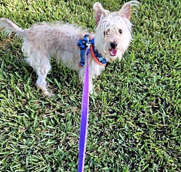 Photo of Butters