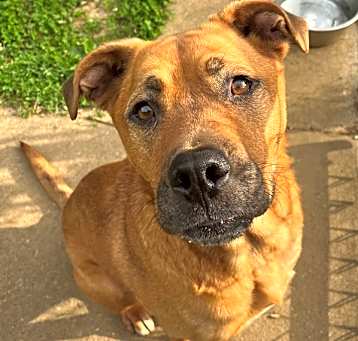 Photo of Spartacus