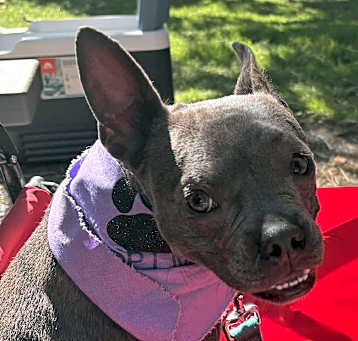 Photo of Tuesday