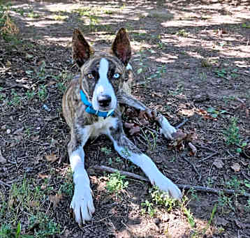 Photo of Waylon