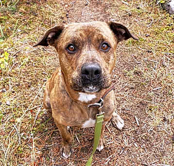 Photo of Tank