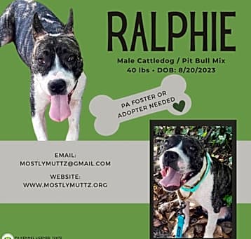 Photo of Ralphie