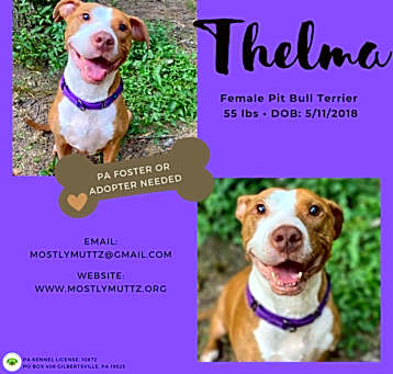 Photo of Thelma