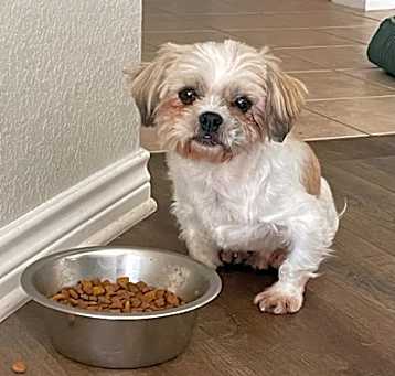 Photo of Kade