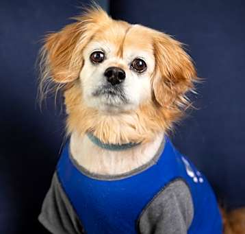 Photo of Charlie