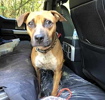 Photo of Nala