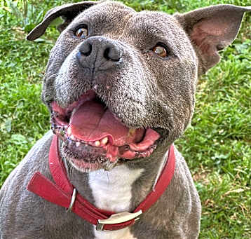 Photo of Rosie
