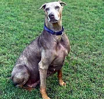 Photo of Coco