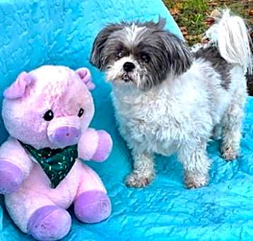 Photo of Lily Belle