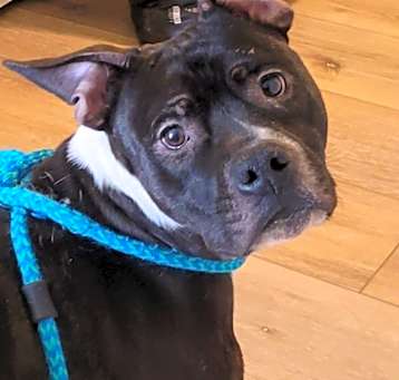 Photo of Bruce