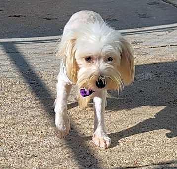Photo of Gianna