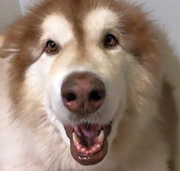 Photo of Lucy