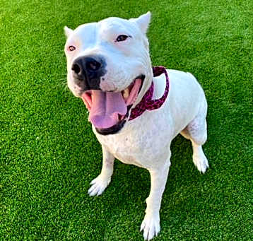 Photo of Lucy