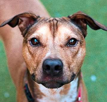 Photo of Finley