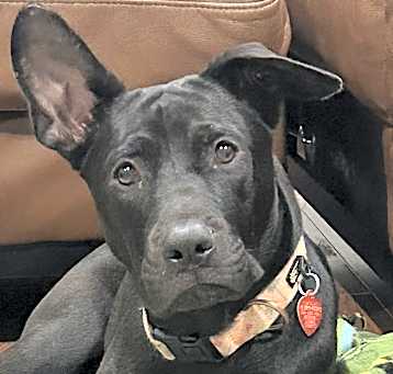 Photo of NOVA
