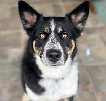 Photo of Boba