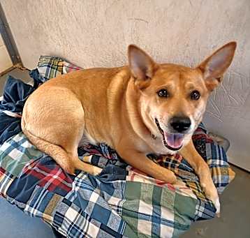 Photo of AGNES