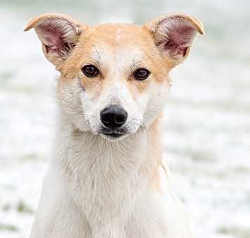Photo of Spice